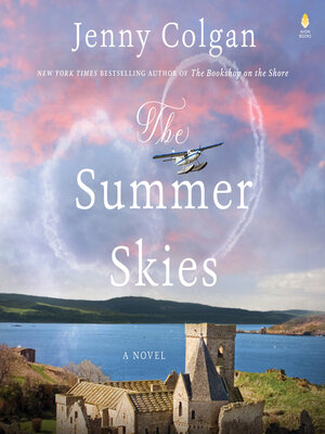 cover image of The Summer Skies